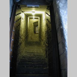 P6297602