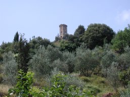 P7038024