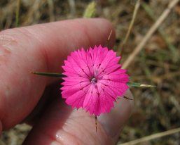 P7038035