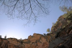 Tree+Cliff