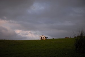 DSC_3186
