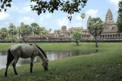 AngkorWatHorse