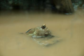 DSC_4065a