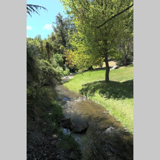 NZ_stream1