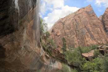 ZionCanyon16