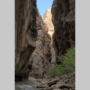 ZionNarrows33