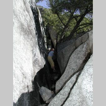 P4242145